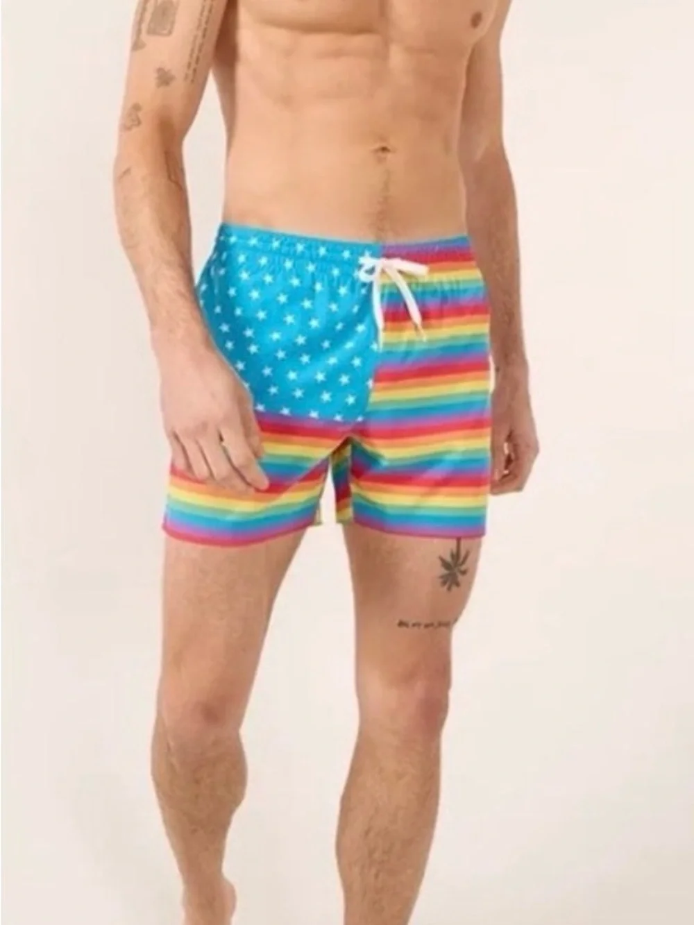 EUC Chubbies “Love is Love” Mens Swim Trunks  Shortie 4 Inch Pride Rainbow Short